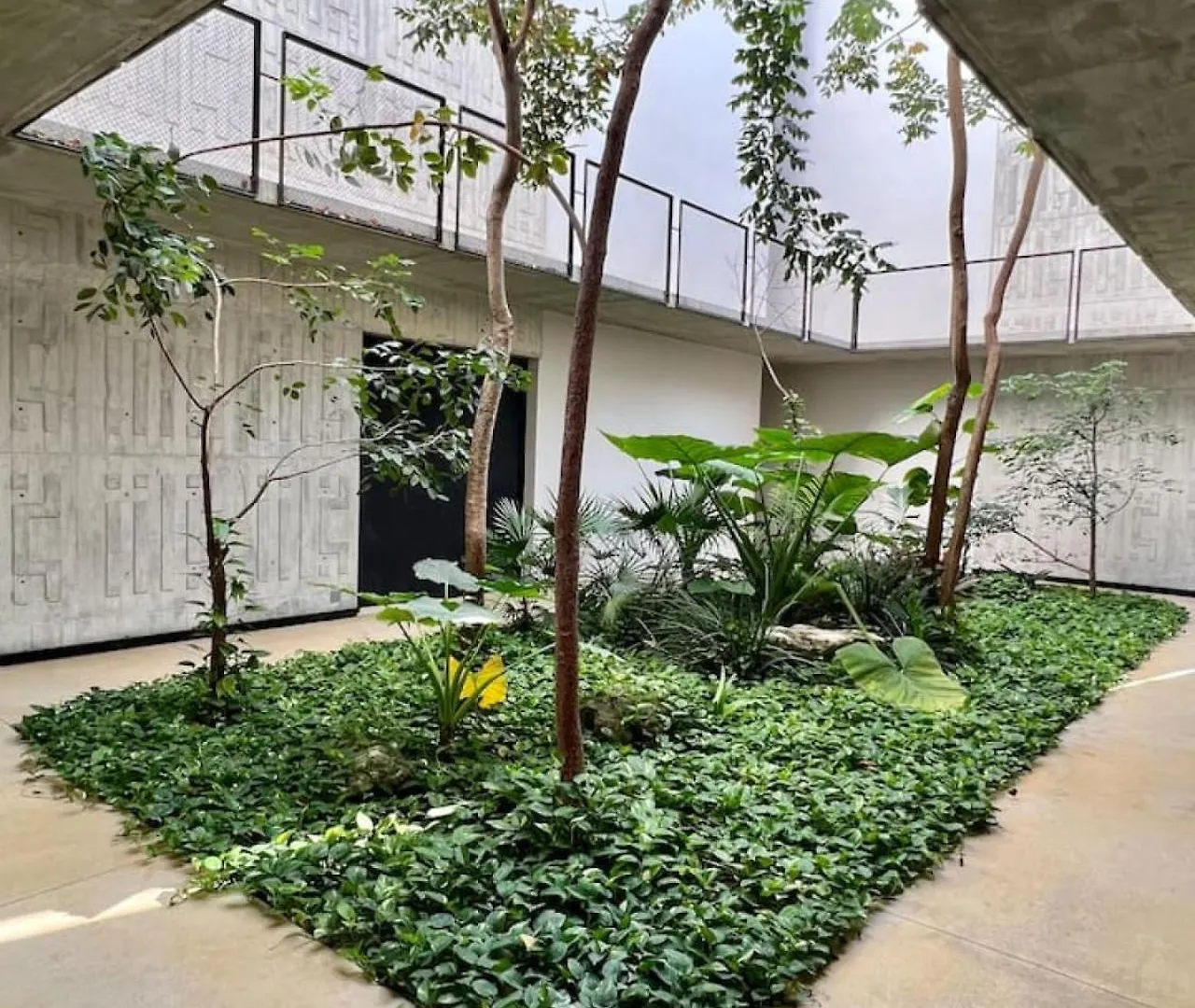 Beautiful Relaxing Condo טולום 0*,